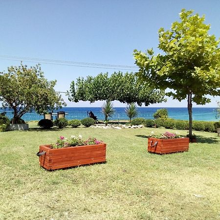 Perdikis Apartments - Paliouria Kokkino Nero ภายนอก รูปภาพ